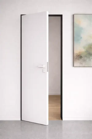 დამალულიკარები. Invisible Door Black 20