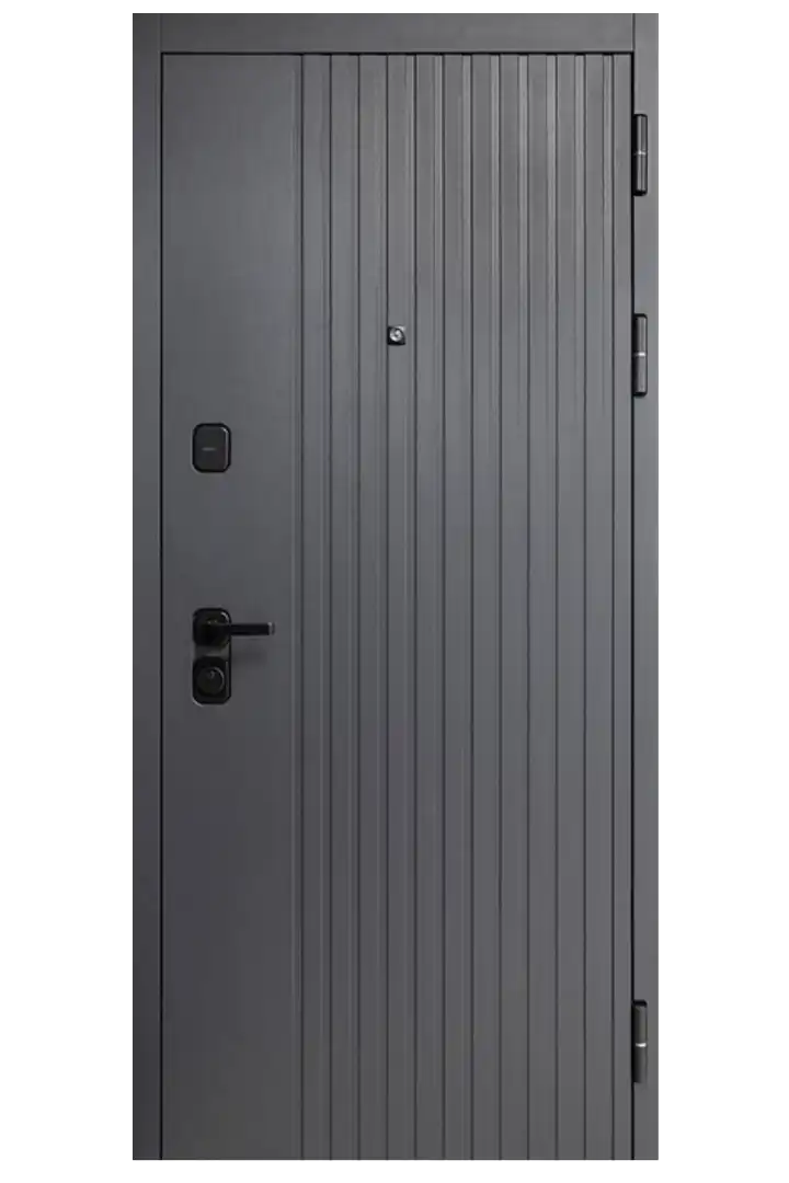 входная дверь Standart Plus 002. ВНЕШНИЕ ДВЕРИ В ГРУЗИИ